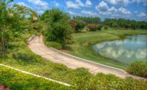 Golf Cart Path at Amelia National