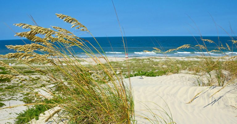 Take An Amelia Island Tour Or Build Your Own | Amelia National Golf ...