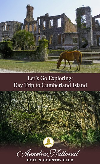 Let’s Go Exploring: Day Trip to Cumberland Island