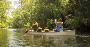 Okefenokee Swamp