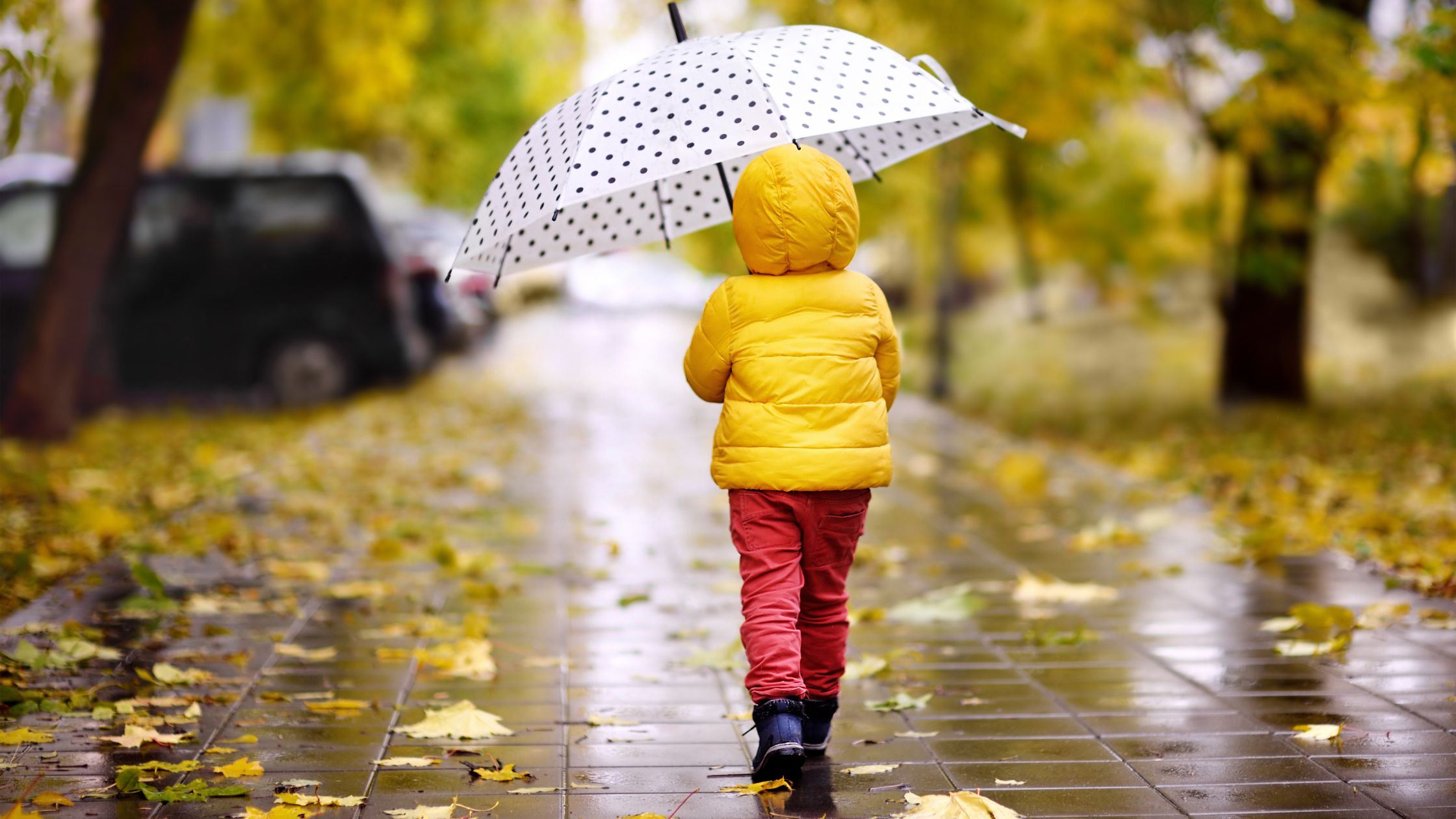 Amelia National Residents’ Guide to Indoor Fun - Rainy day