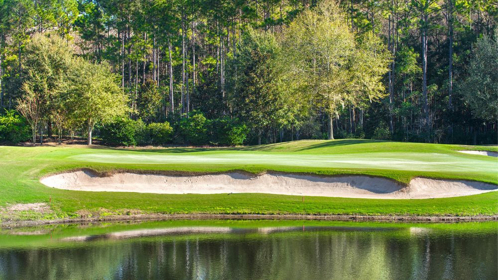 There’s Always Something New at Amelia National – Not Just Custom Homes! - Something New