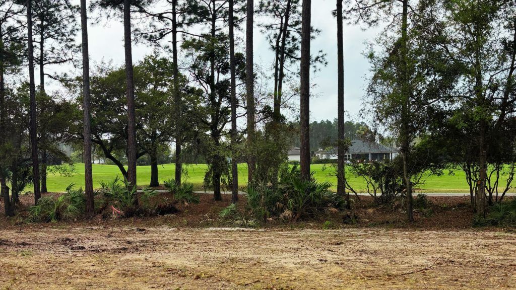 Luxury Home Alert: Amelia National Opens New Phase - New Phase