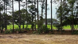 Luxury Home Alert: Amelia National Opens New Phase